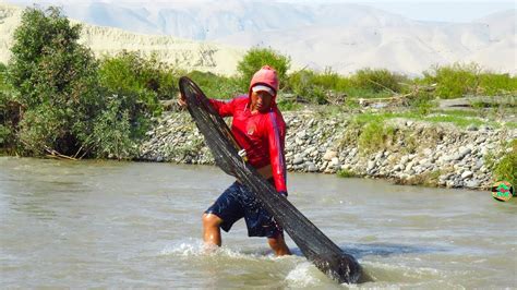 pescando chicas|video de pesca de camarones.